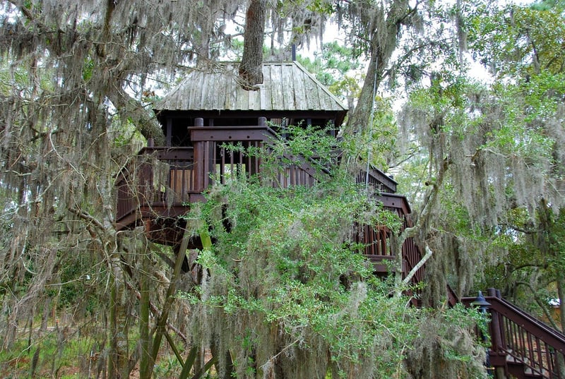 Unique treehouses
